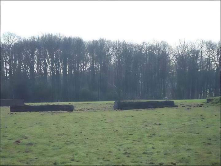 Entreprise hippique La Chapelle-sur-Erdre