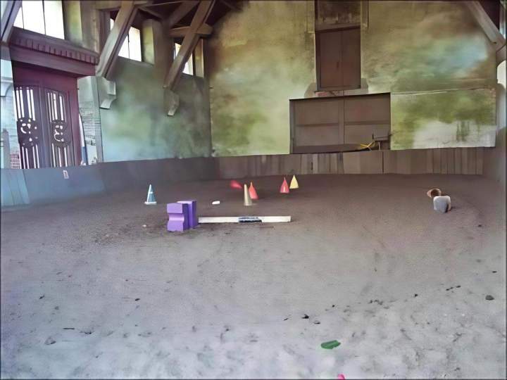 Centre hippique La Chapelle-sur-Erdre