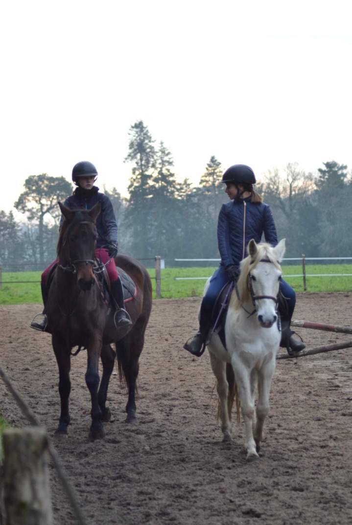 Cours d’équitation La Chapelle-sur-Erdre