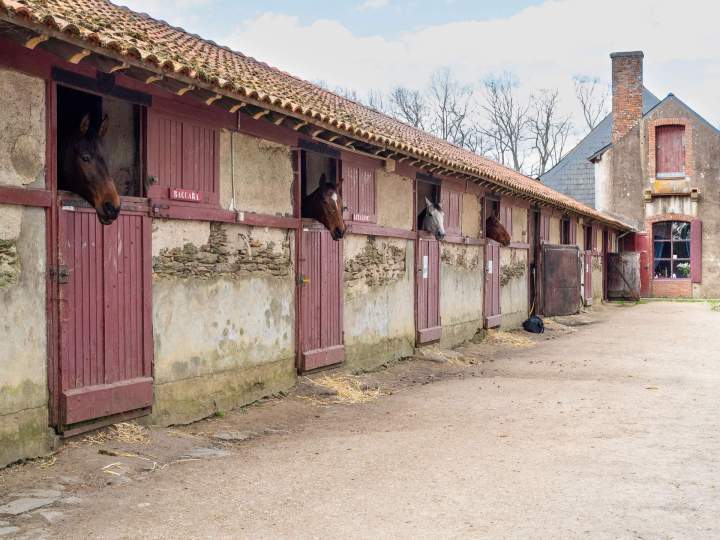 Pension La Chapelle-sur-Erdre