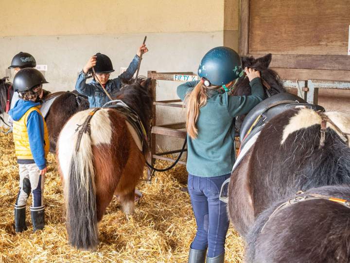 Cours Shetlands La Chapelle-sur-Erdre