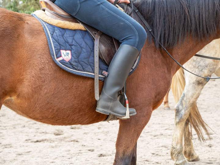 Équitation La Chapelle-sur-Erdre