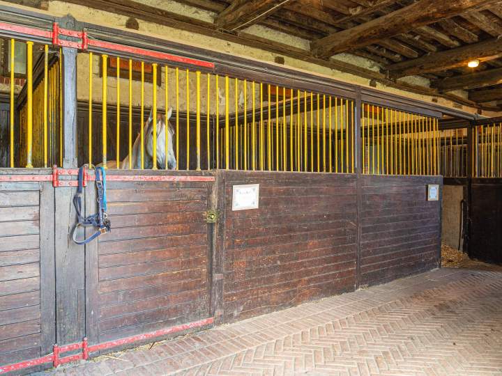 Pension pour chevaux La Chapelle-sur-Erdre