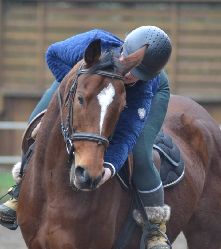Apprendre à monter le cheval