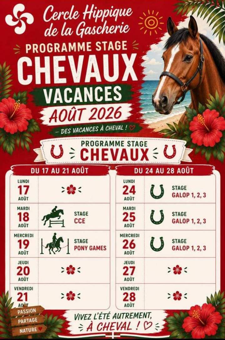 Stage Aout Cheval