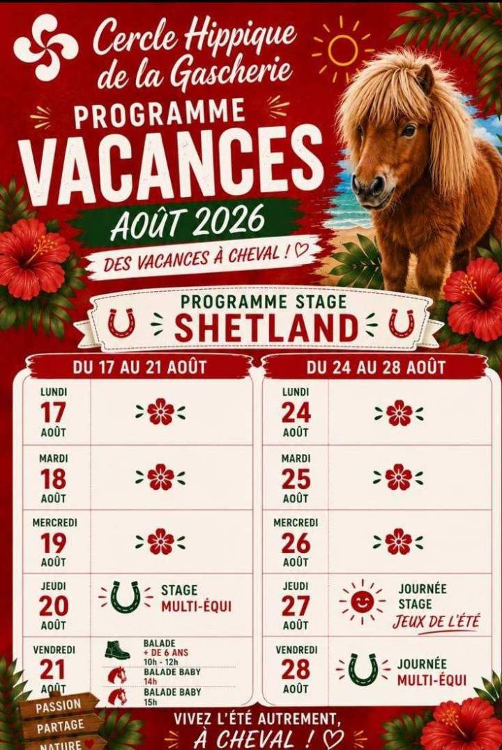 Stage Aout Shetland