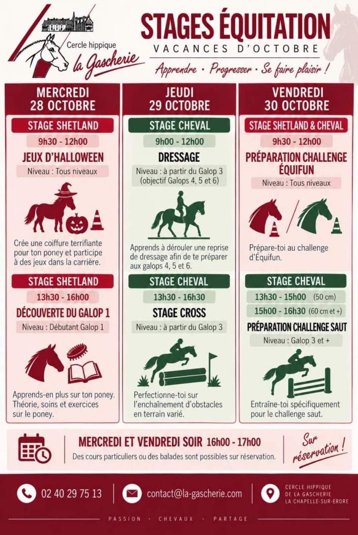 Stage Cheval Toussaint 2
