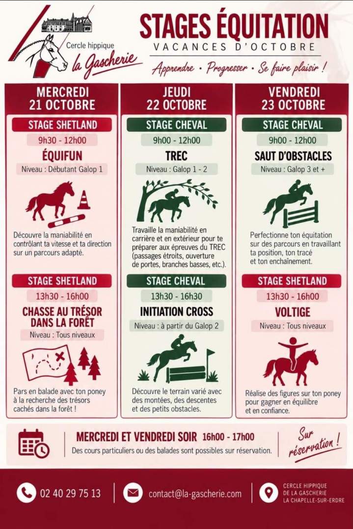 Stage Cheval Toussaint