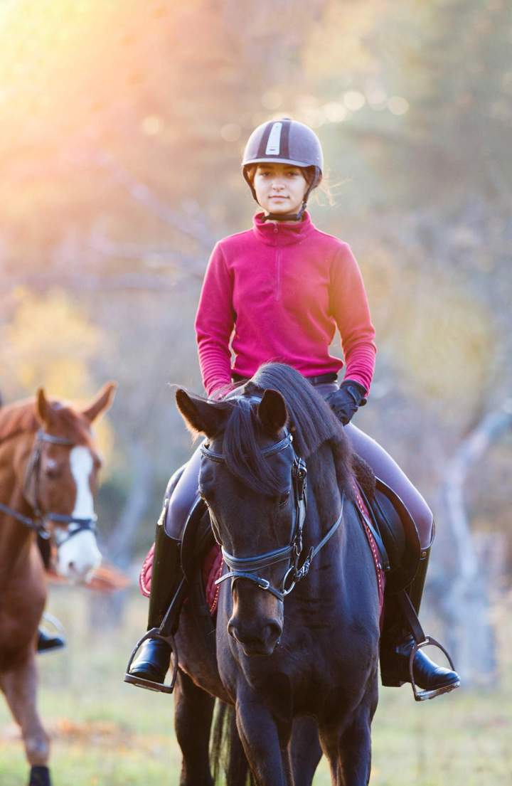 Poney club La Chapelle-sur-Erdre