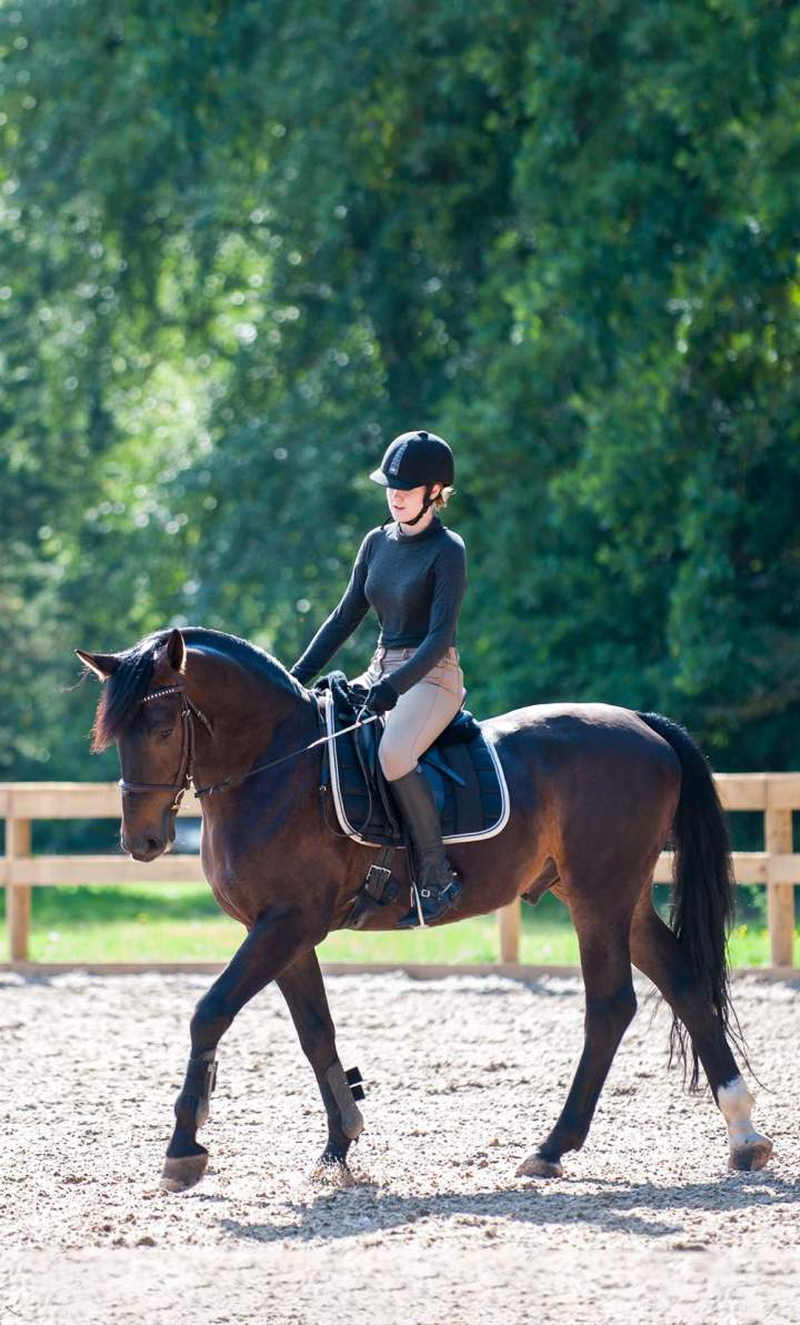 Poney club La Chapelle-sur-Erdre